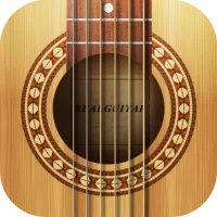 Real Guitar: acoustic electric